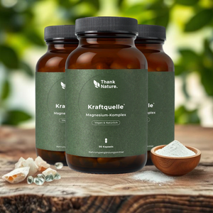 Premium-Bundle (3x90 Kapseln)