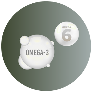 ihre Omega-3-Versorgung gezielt optimieren möchten