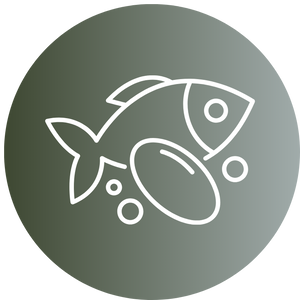 wenig fettreichen Fisch essen
